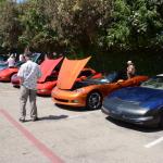 StElizabeth_0001 (September 09, 2016)